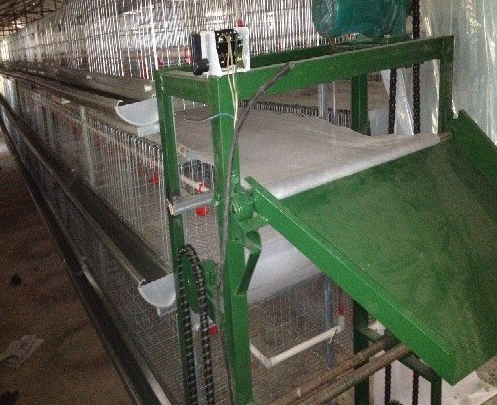 蛋鸡设备传送带式清粪机常见的这些问题你都知路吗？