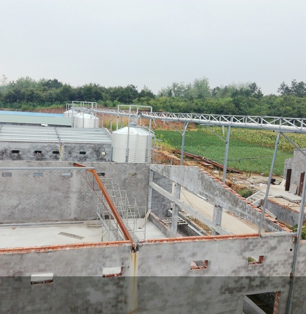 全自动养鸡设备利用近况与意思分析