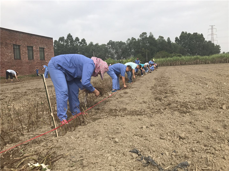 百亿游戏(中国区)官方网站入口