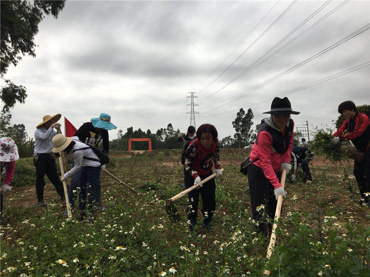 百亿游戏(中国区)官方网站入口